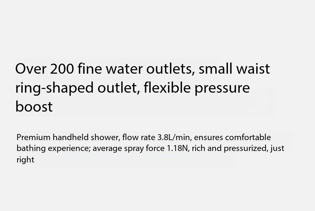 Beauty Shower Filter