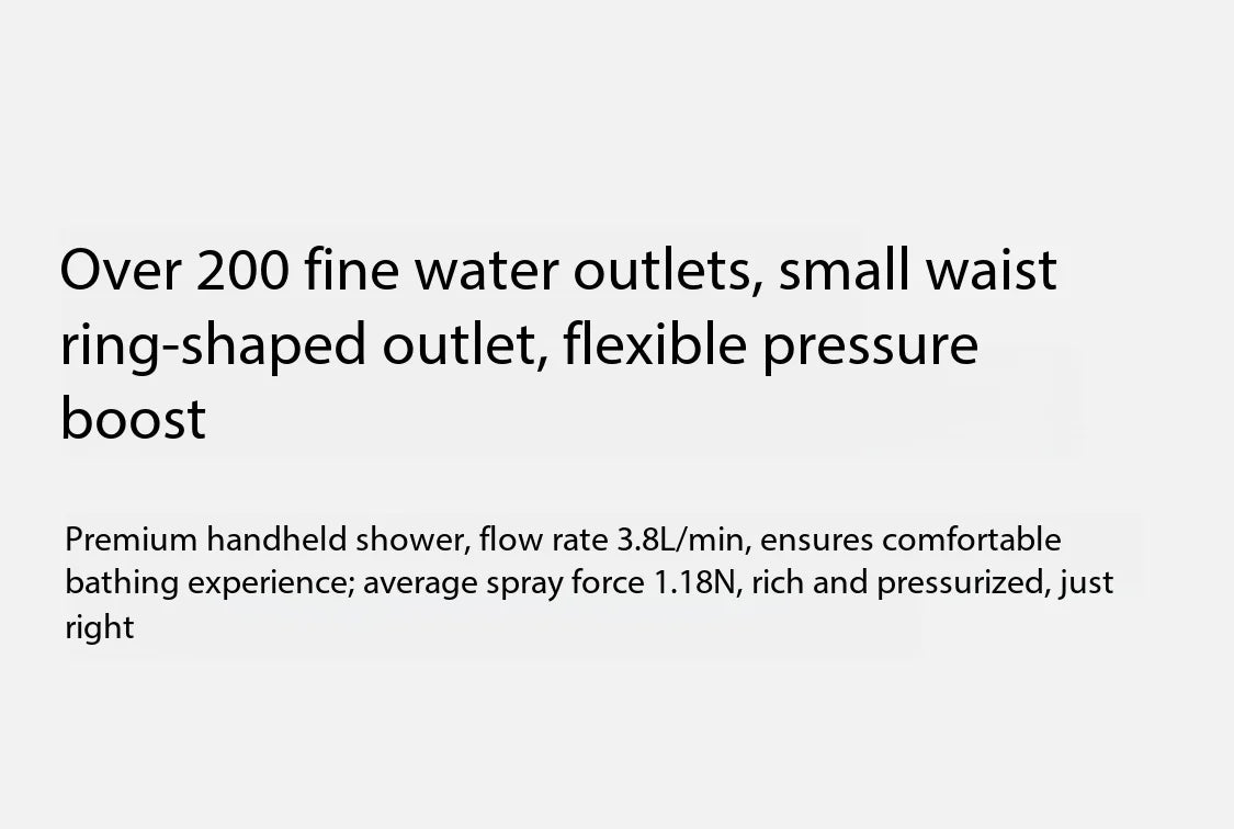 Beauty Shower Filter