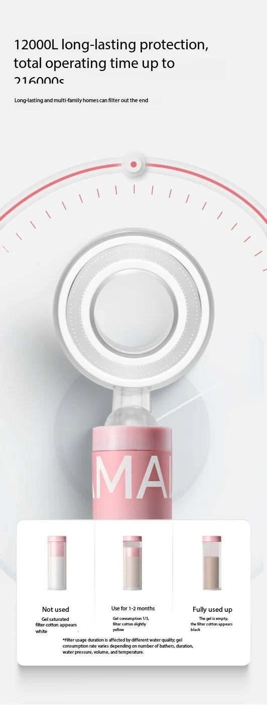 Beauty Shower Filter