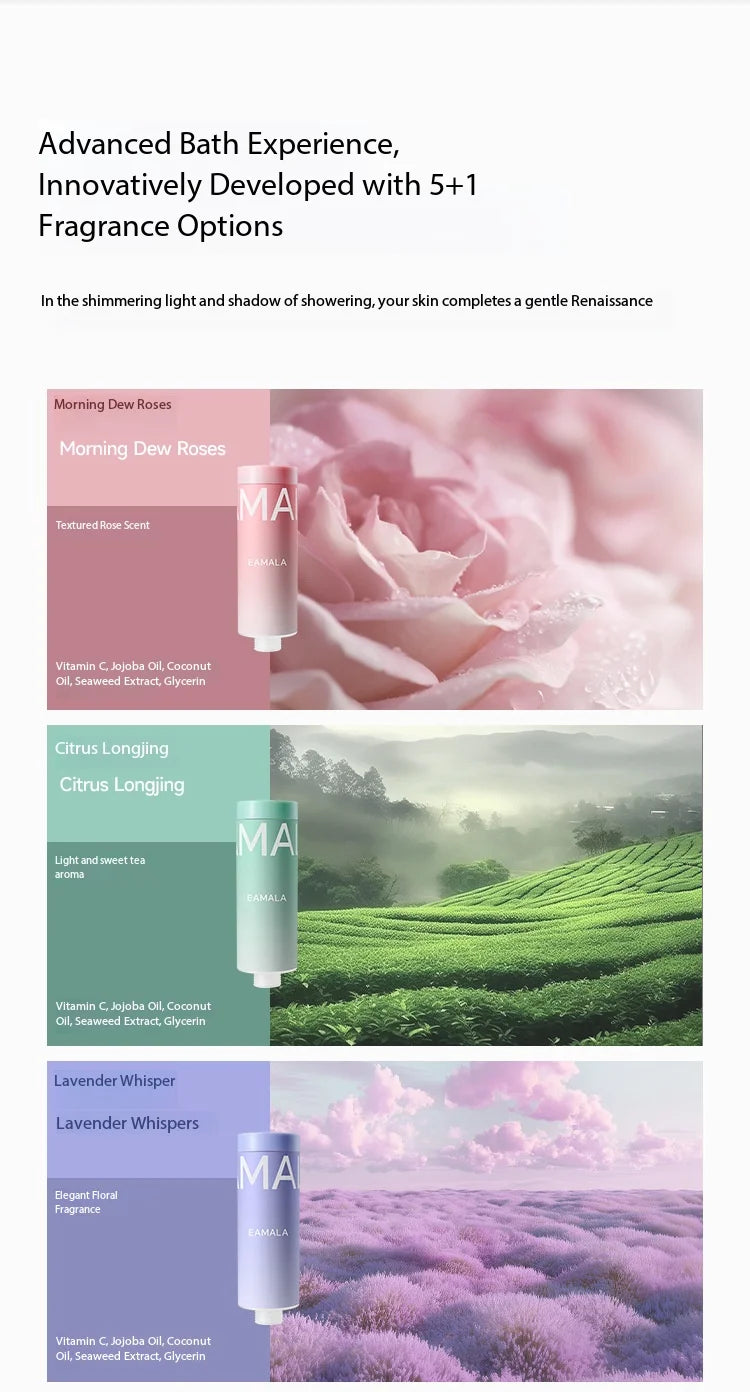 Beauty Shower Filter